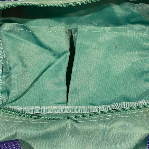 Disney Resort Tokyo Vacation Bag Disney Vacation Package 2007 RARE - Picture 6 of 7